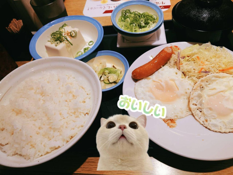 みほの写メ